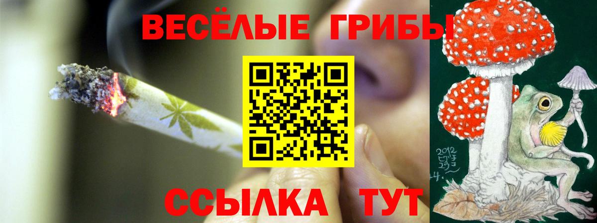 Галлюциногенные грибы ЛСД Ростов Великий